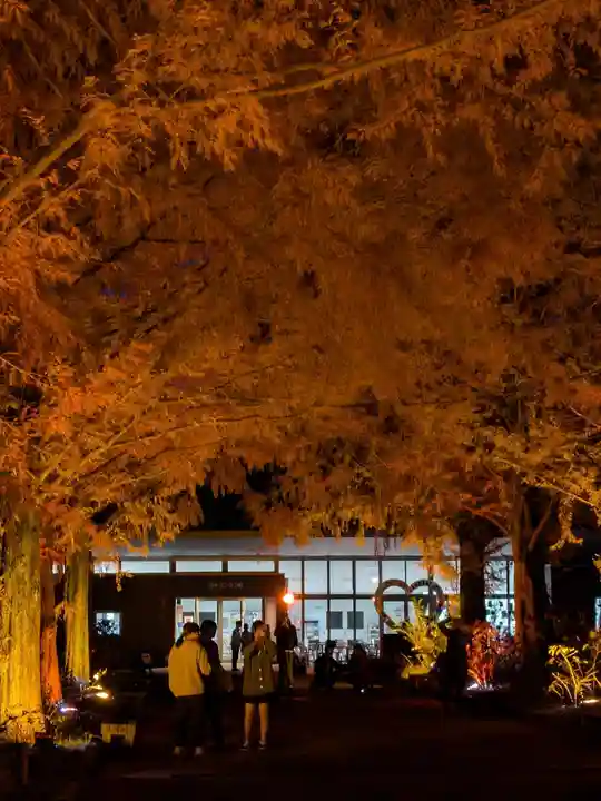 野木神社(栃木県)