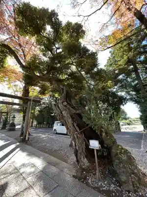 一言主神社(茨城県)