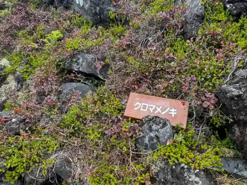 横岳神社(長野県)