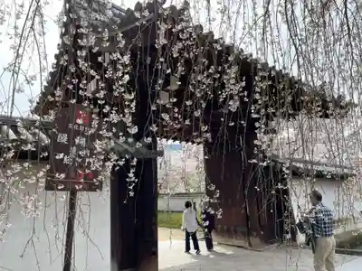 醍醐寺(京都府)