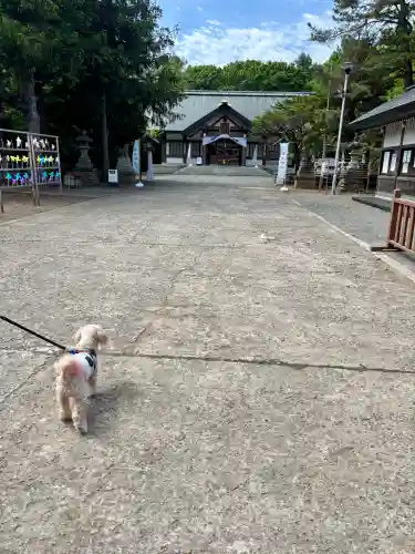 岩内神社(北海道)
