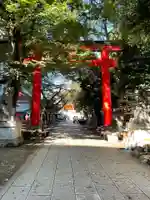 花園神社の鳥居