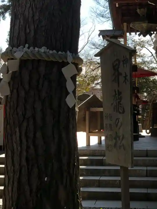 菟橋神社(石川県)