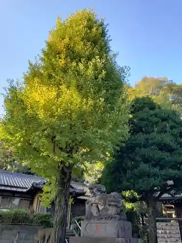 八幡神社の狛犬