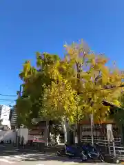 波除神社（波除稲荷神社）の自然