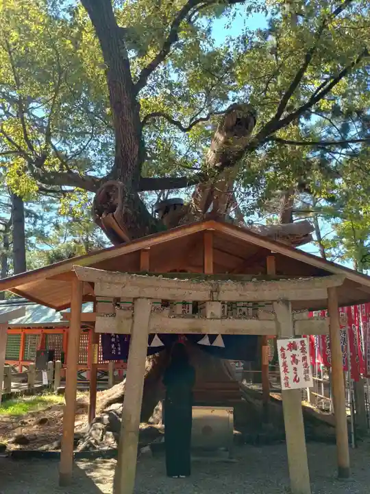 住吉大社(大阪府)