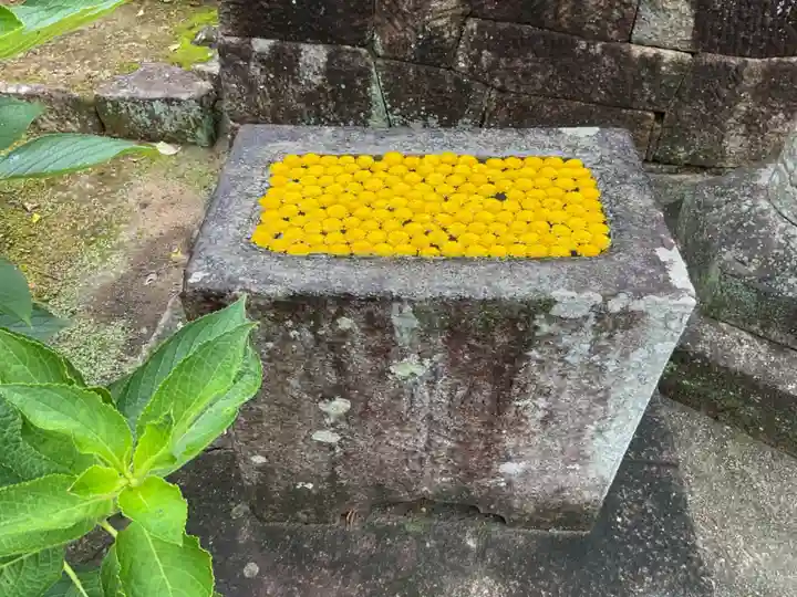 本光寺の手水舎