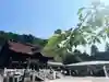 手力雄神社(岐阜県)
