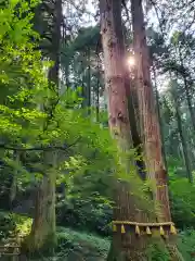 御岩神社の自然