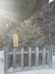武田神社の自然