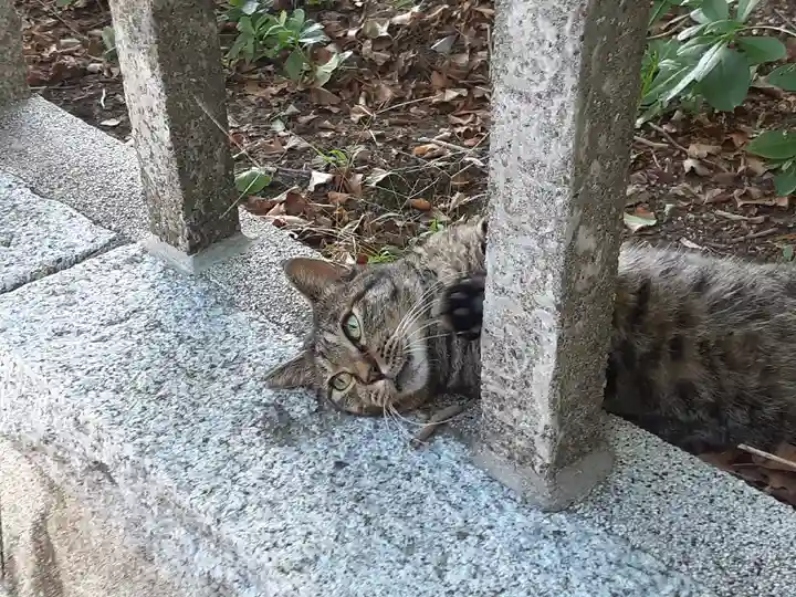 海南神社(神奈川県)