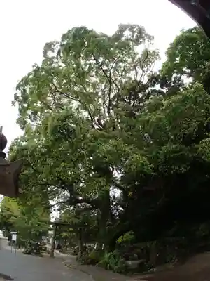 立磐神社のその他建物