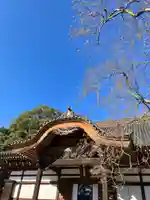 深大寺の本殿・本堂