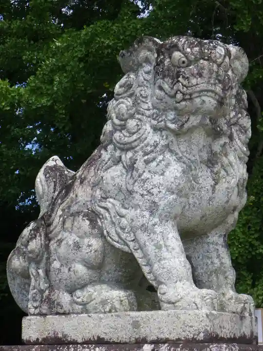 春日神社の狛犬