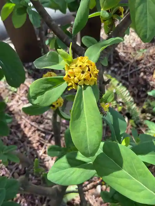 八事山 興正寺(愛知県)