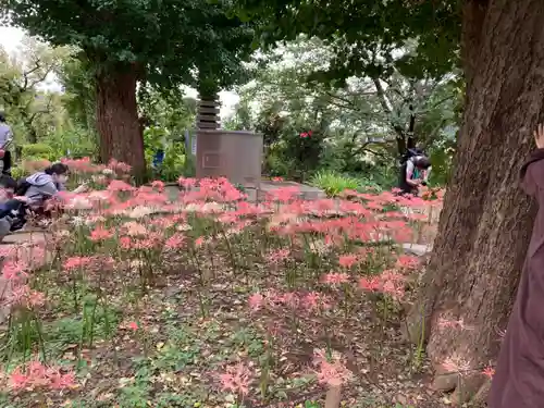 横浜　西方寺(神奈川県)