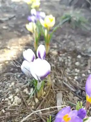 厚別神社(北海道)