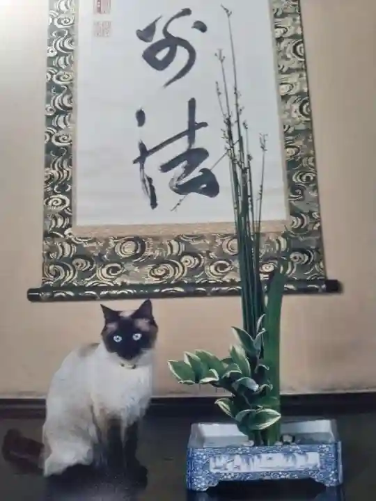 中宮寺の動物