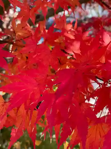 円常院(圓常院) enjoyntemple(京都府)