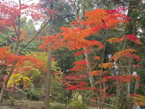 天台宗 五大山 白毫寺(兵庫県)