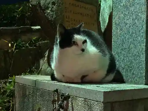 王子神社(徳島県)