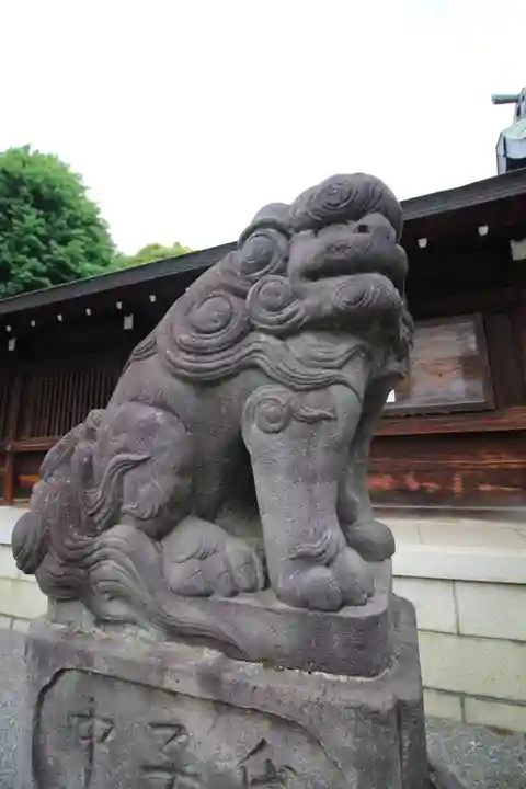 井草八幡宮の狛犬