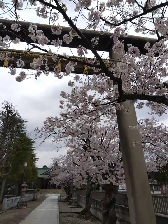 神明神社(福井県)