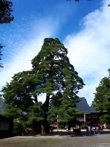 毛越寺の建物その他