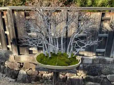 龍泉庵(京都府)