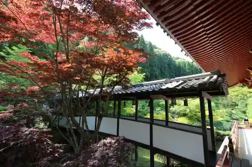 久安寺の庭園