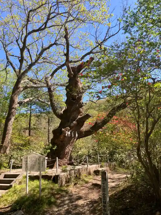 那須温泉神社(栃木県)