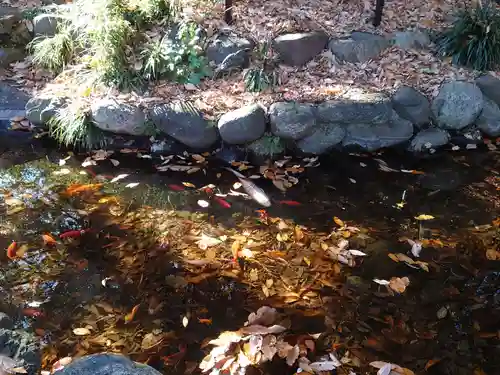 山名八幡宮の庭園