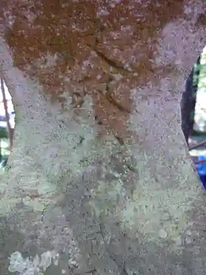 須山浅間神社(静岡県)