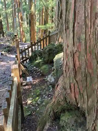 玉置神社(奈良県)