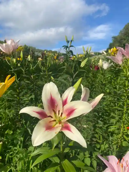 秋葉總本殿可睡斎(静岡県)