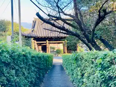観福寺の山門・神門