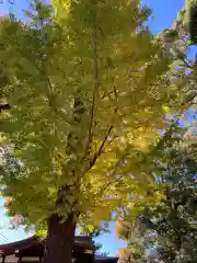 中目黒八幡神社(東京都)