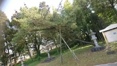 宇夫須奈神社（木曽川町）の自然