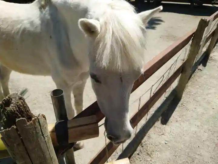 丹生川上神社(下社)(奈良県)