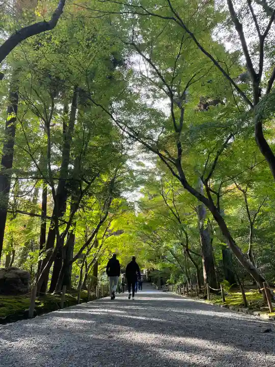 龍安寺(京都府)