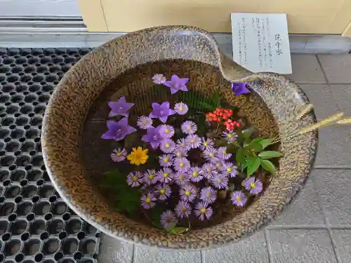 美瑛神社の手水