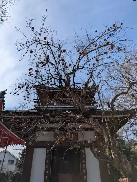 成願寺(東京都)