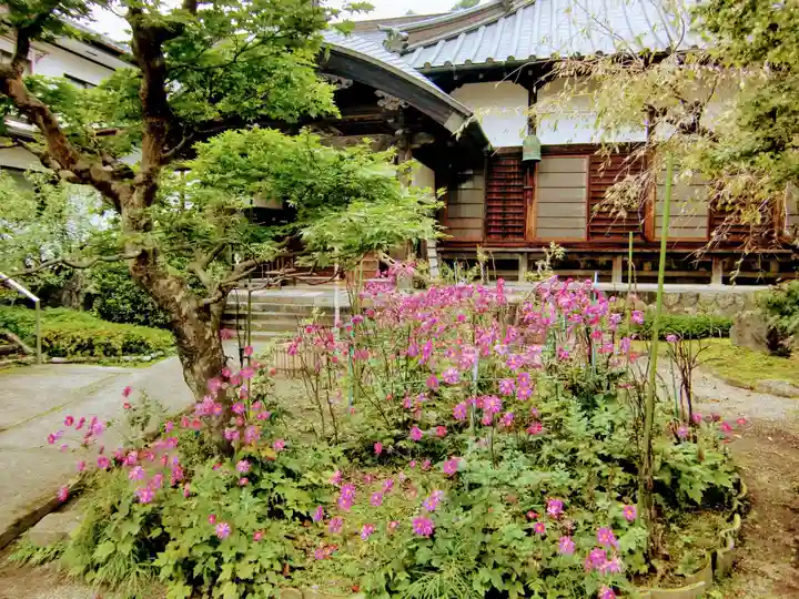 柳沢寺(群馬県)