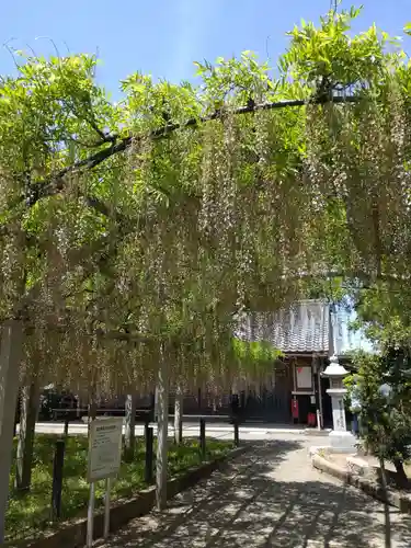 三大神社の自然