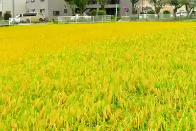 瀧神社(東京都)