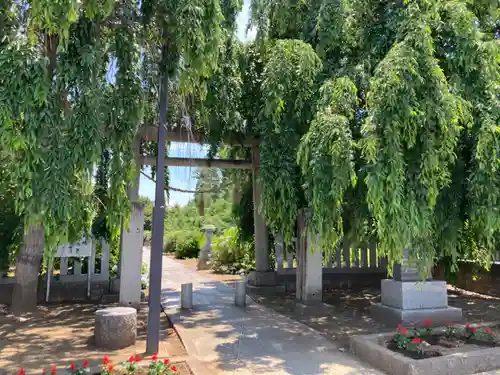 鷲神社(茨城県)