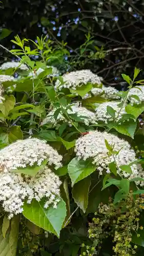 知恩院(京都府)