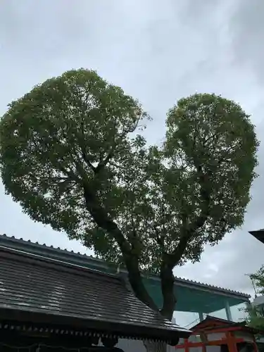 南宮宇佐八幡神社（脇浜神社）の自然