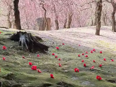 城南宮(京都府)