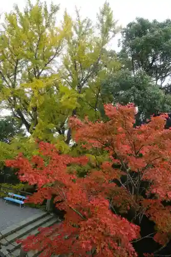 播州清水寺の自然